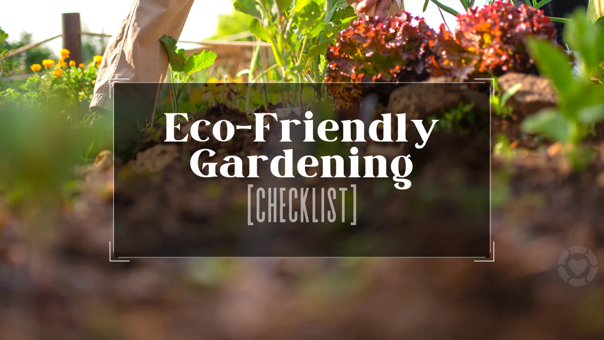 How to make raised bed gardens more eco-friendly