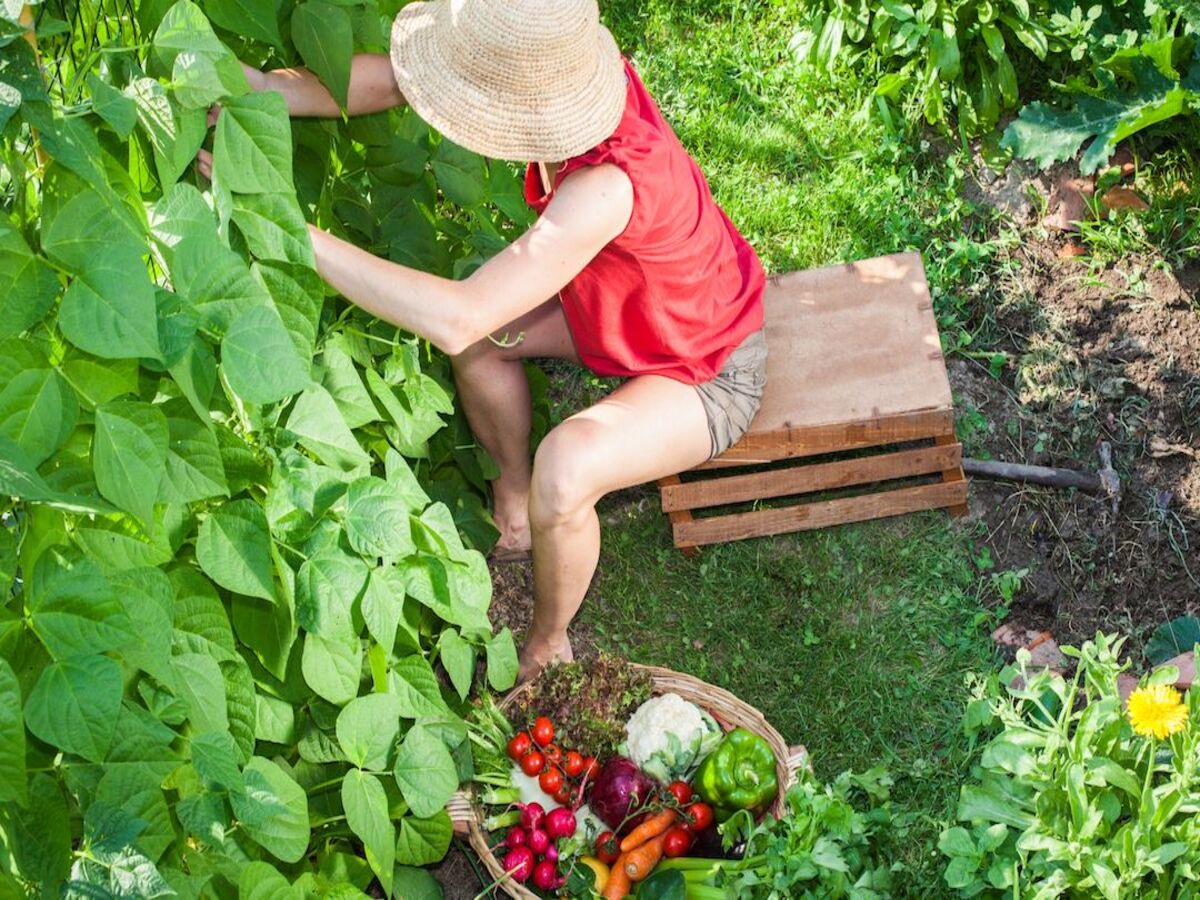 Jammin' with the Earth: Tramull Planters and the Beat of Eco-Friendly Gardening