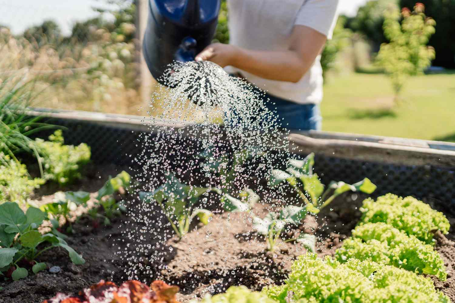 A Concise Guide to Installing a Watering and Irrigation System for a Metal Raised Garden Bed