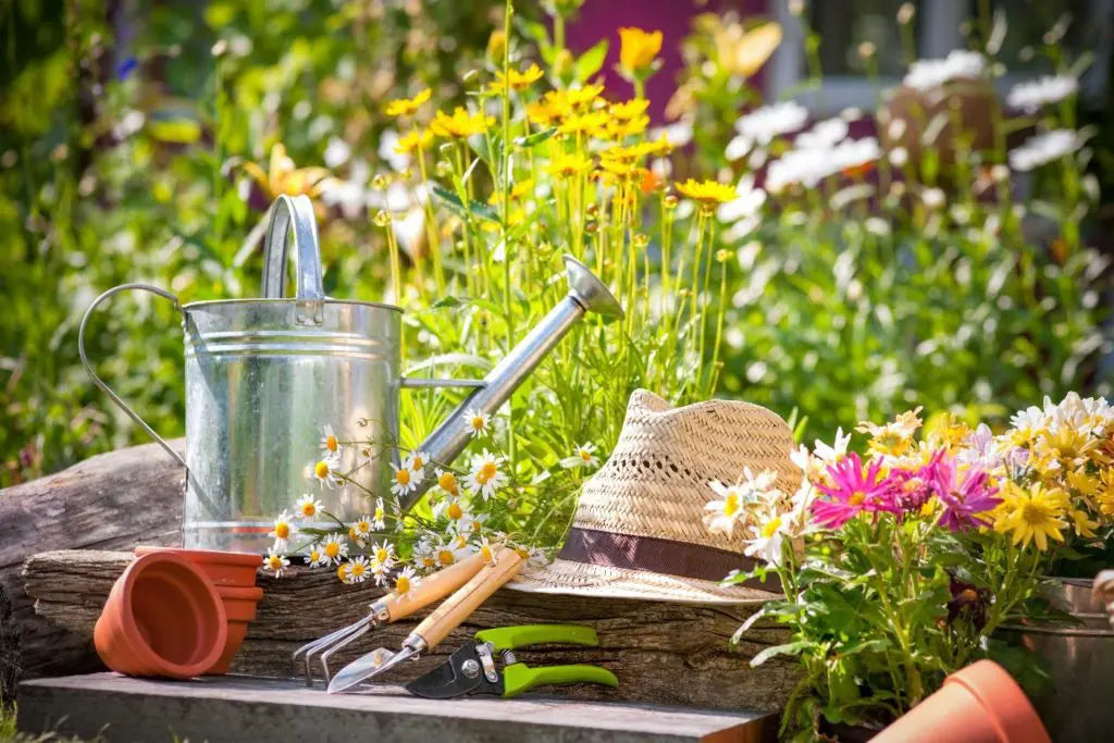 How Can Gardening Become A Path to Spiritual Enlightenment