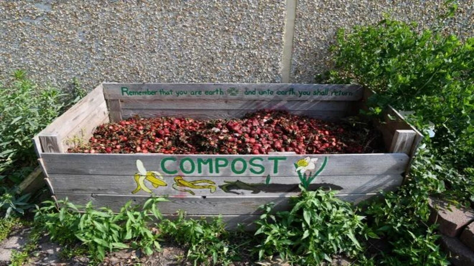 Composting Tips for Gardening Beginners – Tramull Garden