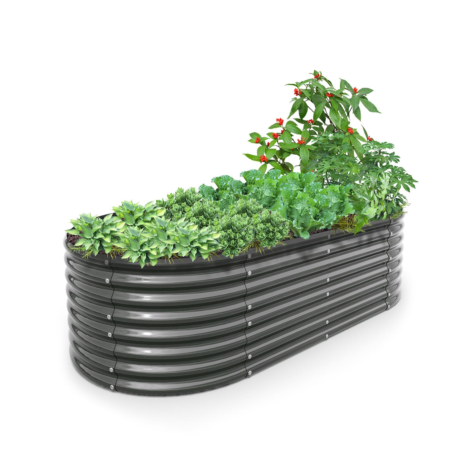 TRAMULL 8X4X2ft Galvanized Raised Garden Bed, Oval Above Ground Modular Metal Outdoor Planter Boxes(Quartz Grey) - Tramull Metal Raised Garden Beds - Durable, Modular, Quality Galvanized Steel Garden Beds