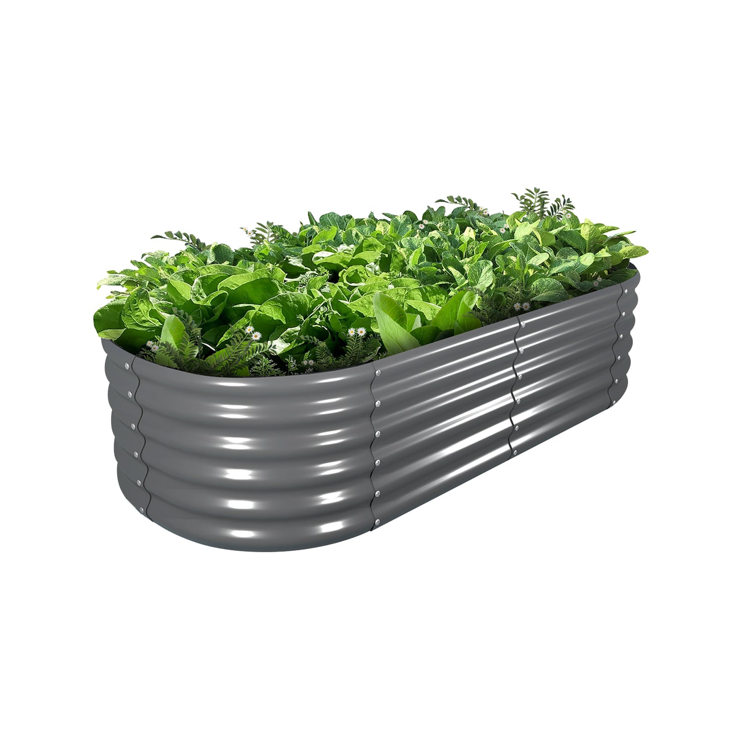 New Arrivals – Tramull Metal Raised Garden Beds - Durable, Modular ...