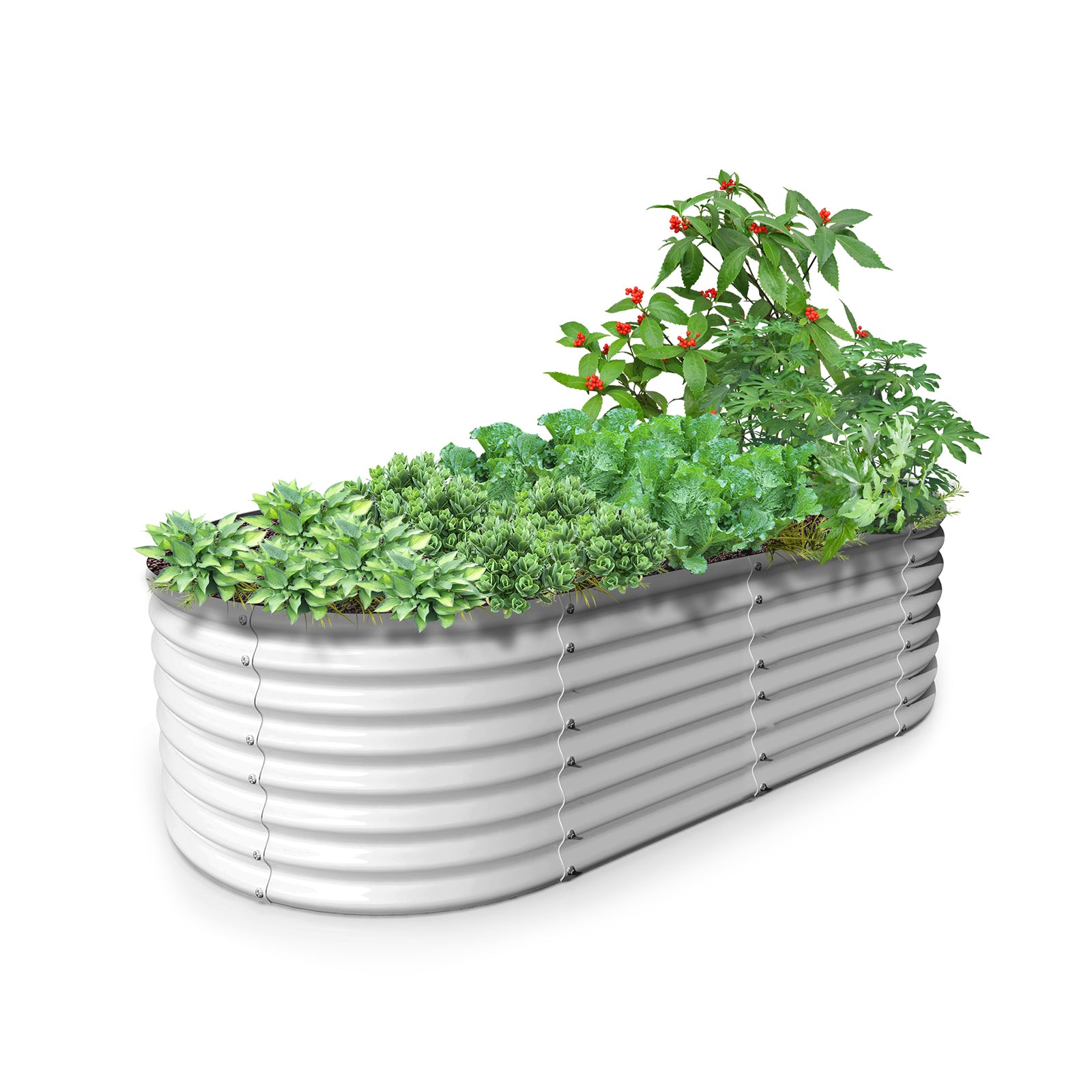 8X4X2ft Galvanized Raised Garden Bed, Oval Above Ground Modular Metal Outdoor Planter Boxes(Antique White) - Tramull Metal Raised Garden Beds - Durable, Modular, Quality Galvanized Steel Garden Beds