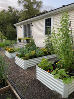 8-Pack 8X4X1.5ft & 74x74x18 in Deep Root Galvanized Raised Garden Beds Outdoor - Tramull Metal Raised Garden Beds - Durable, Modular, Quality Galvanized Steel Garden Beds