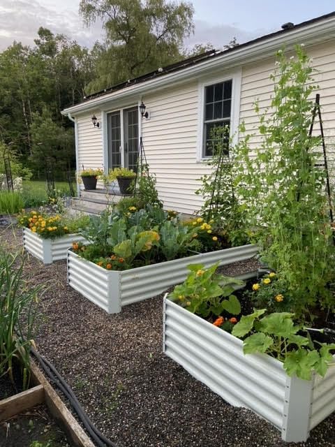 8-Pack 8X4X1.5ft & 74x74x18 in Deep Root Galvanized Raised Garden Beds Outdoor - Tramull Metal Raised Garden Beds - Durable, Modular, Quality Galvanized Steel Garden Beds