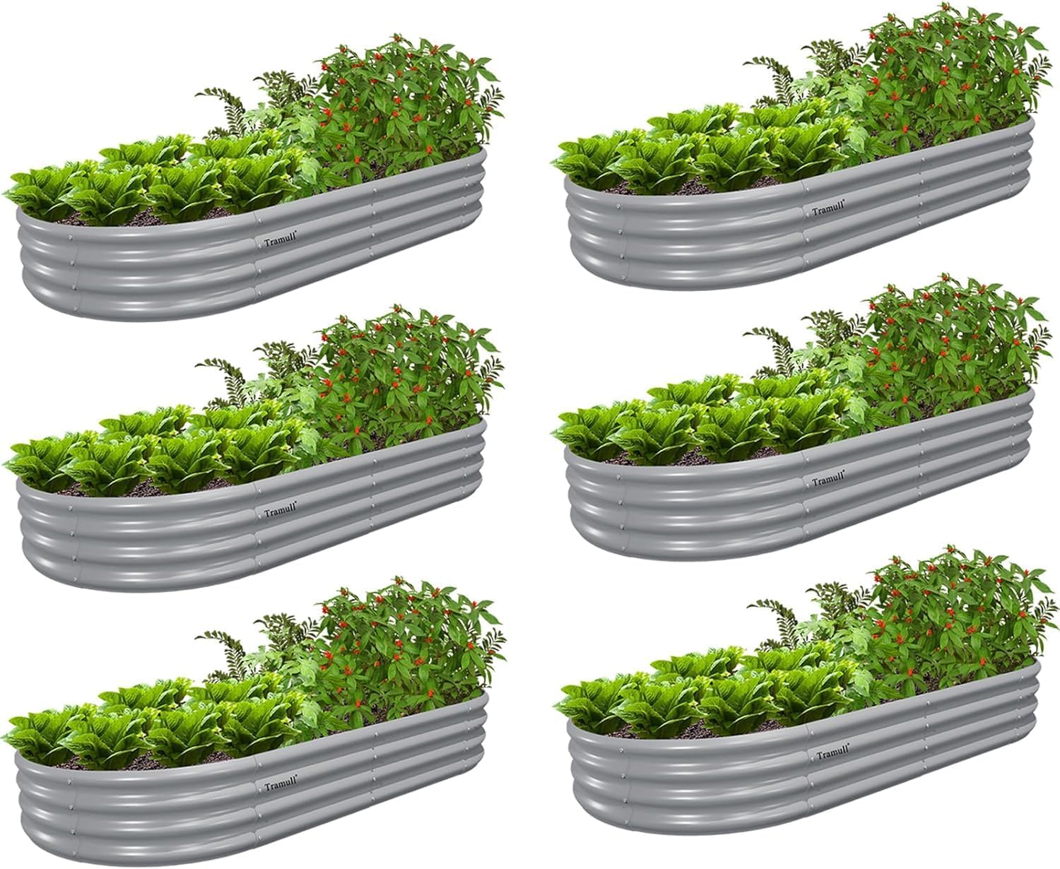 6 Pack 6x3x1FT Galvanized Raised Garden Bed Kit Oval Metal Ground Planter Box Outdoor Bottomless Planter Raised Beds for Vegetables Flowers Herbs Fruits(Green)