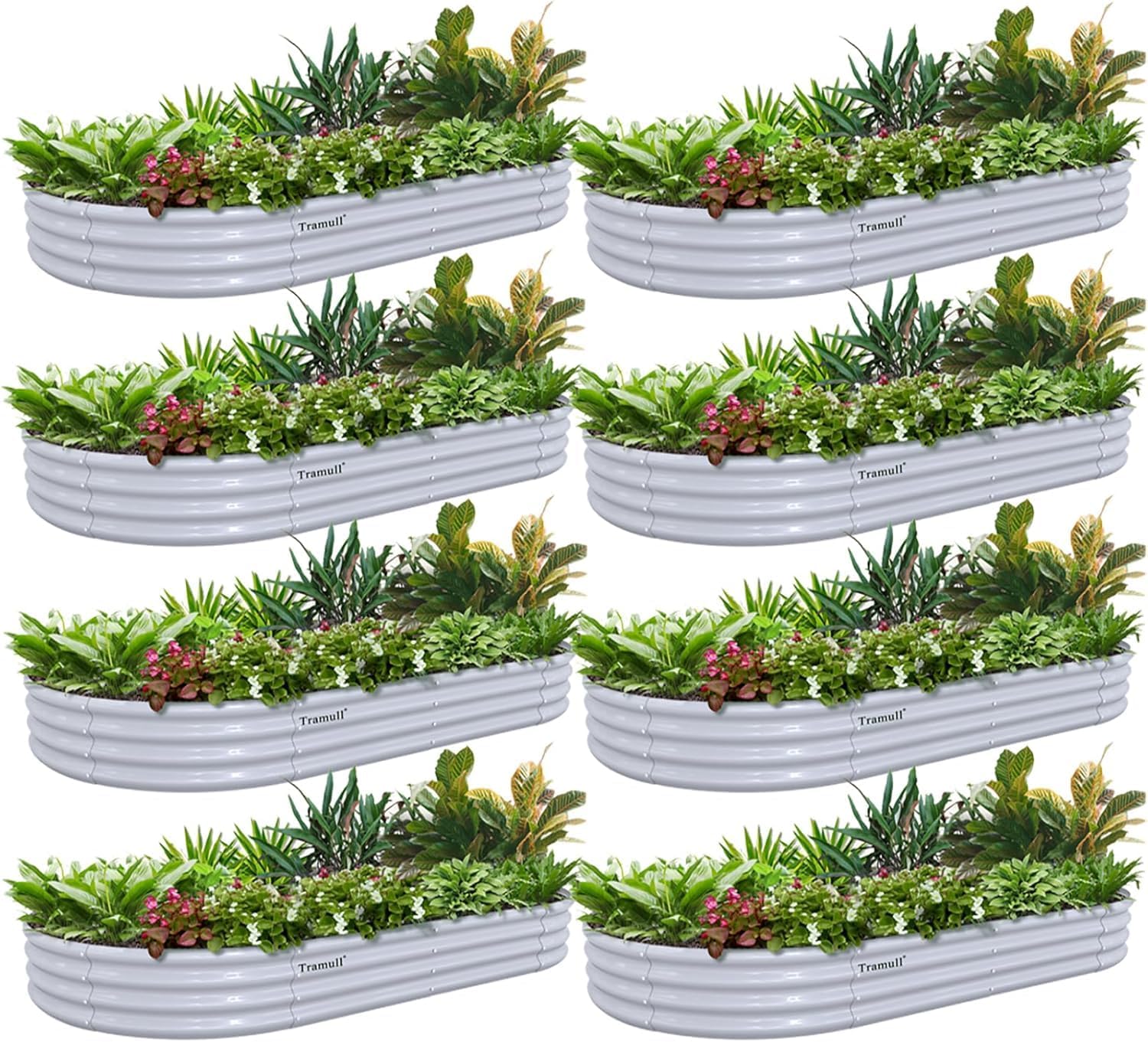 8 Pack 6x3x1FT Galvanized Raised Garden Bed Kit Oval Metal Ground Planter Box Outdoor Bottomless Planter Raised Beds for Vegetables Flowers Herbs Fruits, Gray