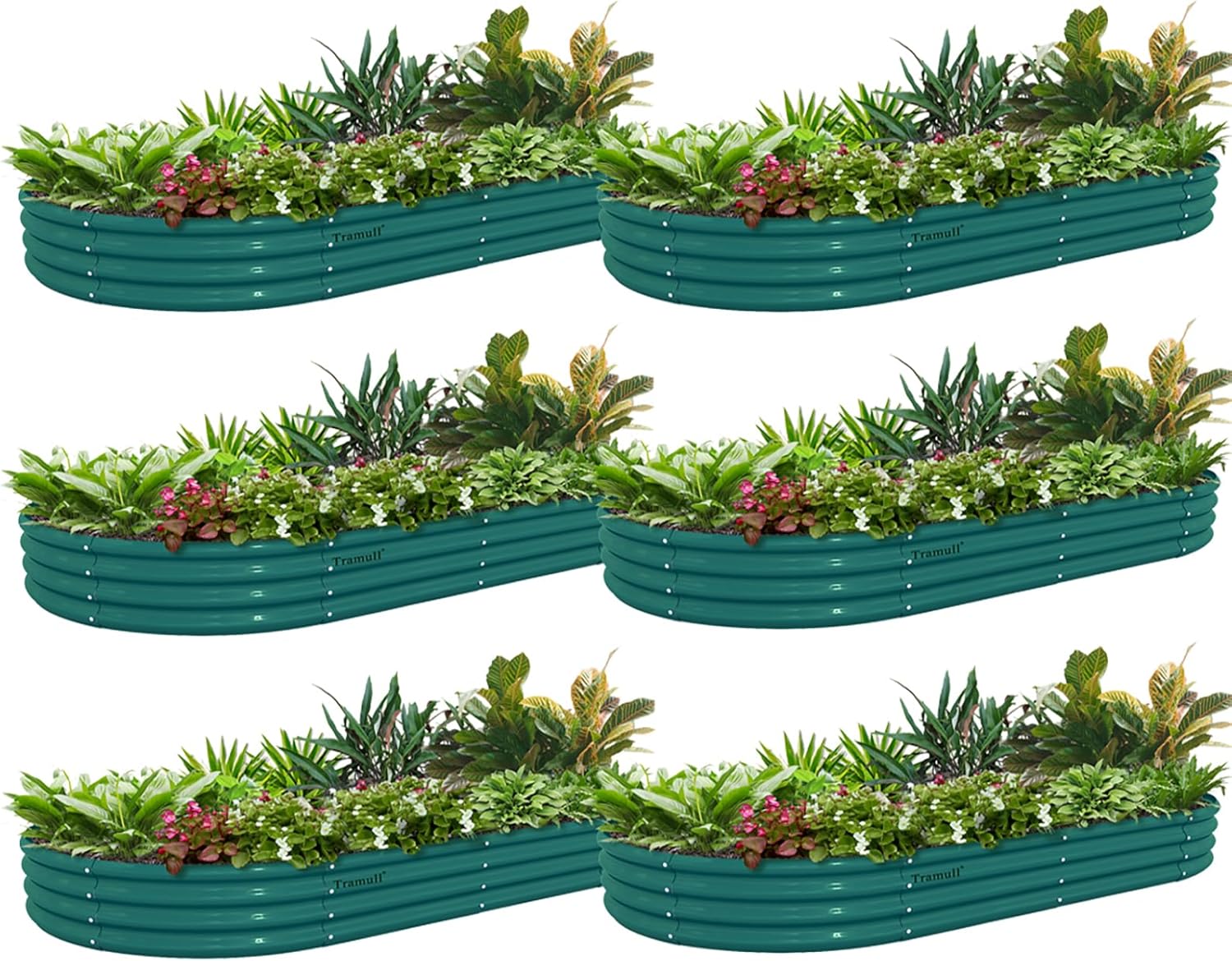 6 Pack 6x3x1FT Galvanized Raised Garden Bed Kit Oval Metal Ground Planter Box Outdoor Bottomless Planter Raised Beds for Vegetables Flowers Herbs Fruits(Green)