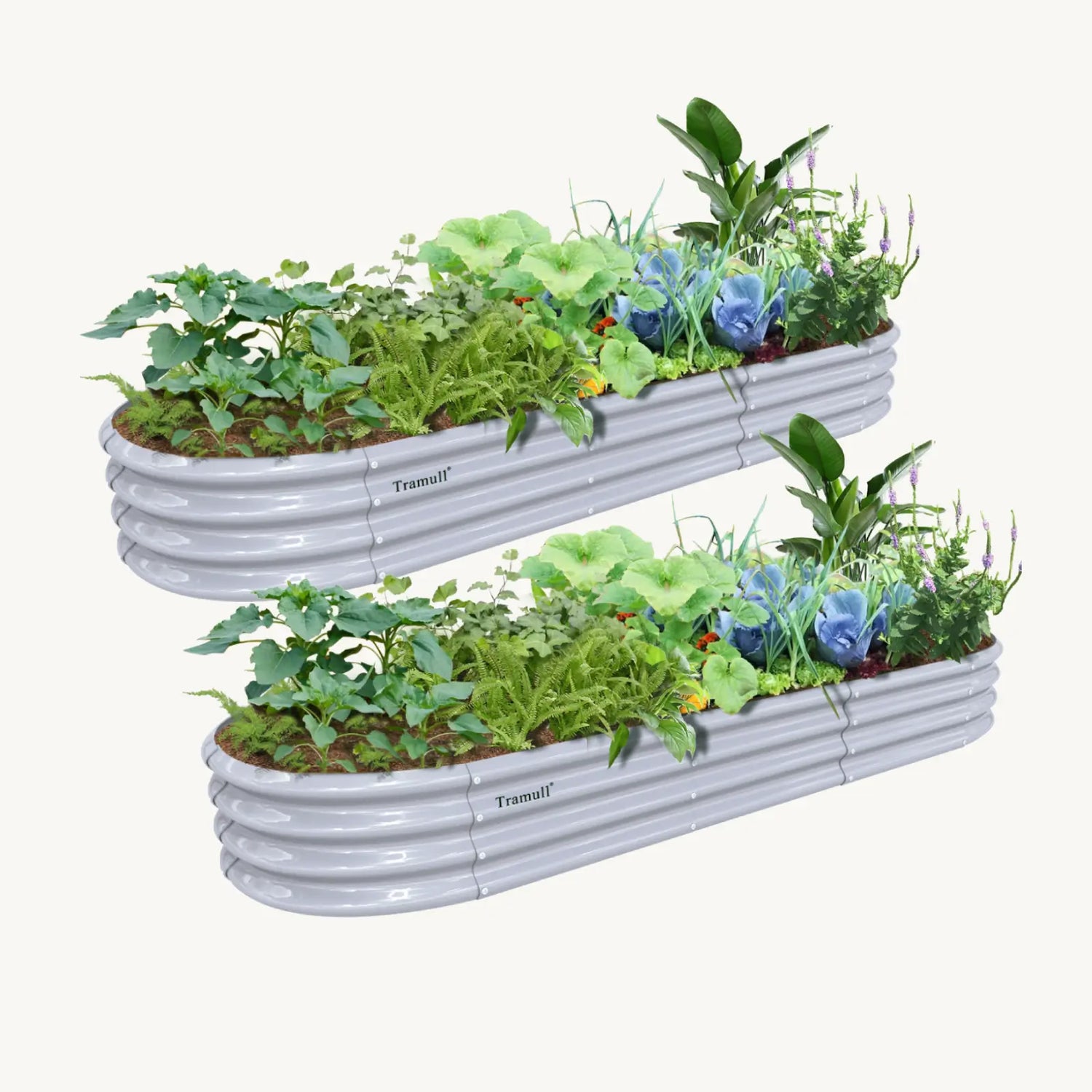 Bundle of 2 | 12" Tall 12x2ft Oval Metal Raised Garden Beds