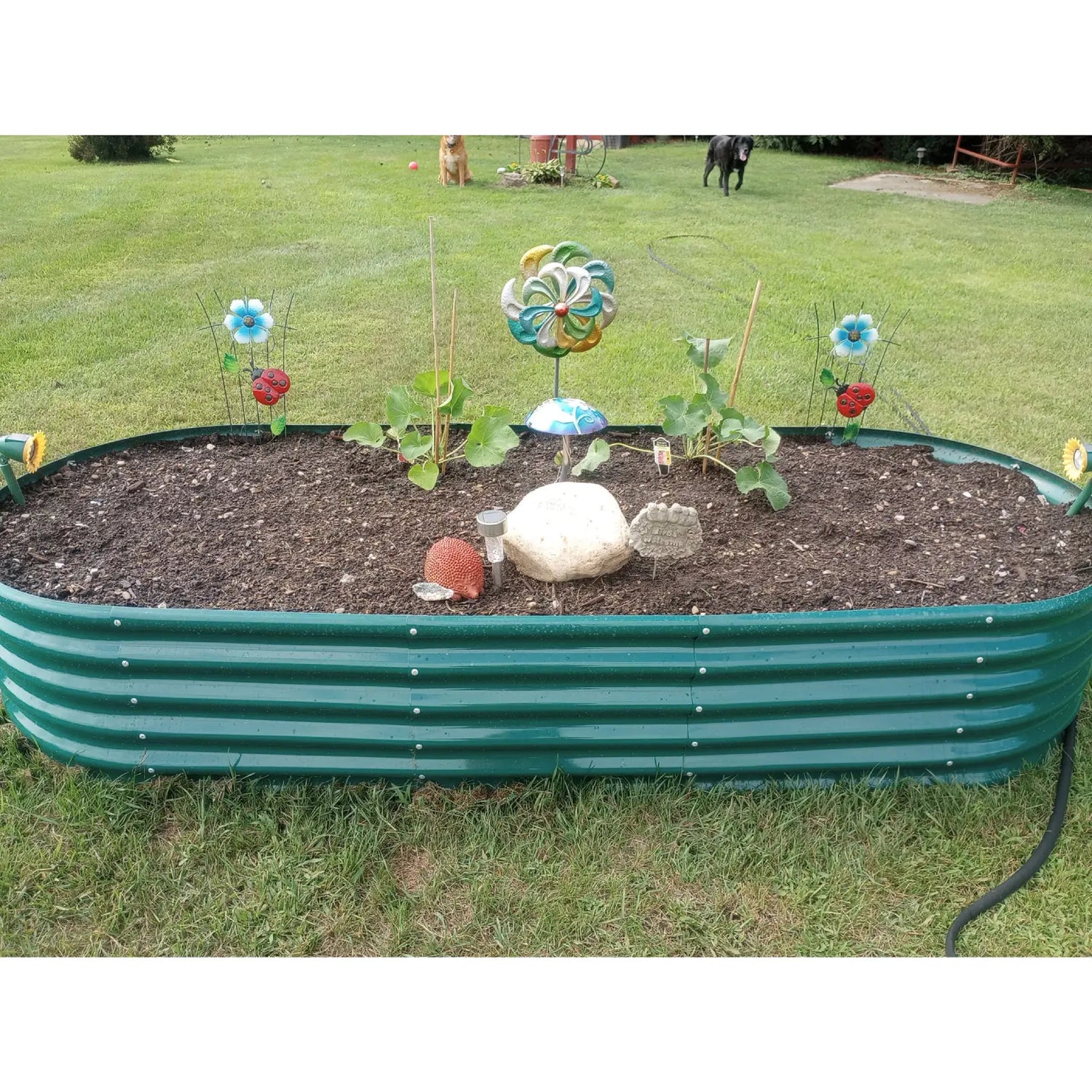 18" Tall 8x3ft Oval Metal Raised Garden Bed