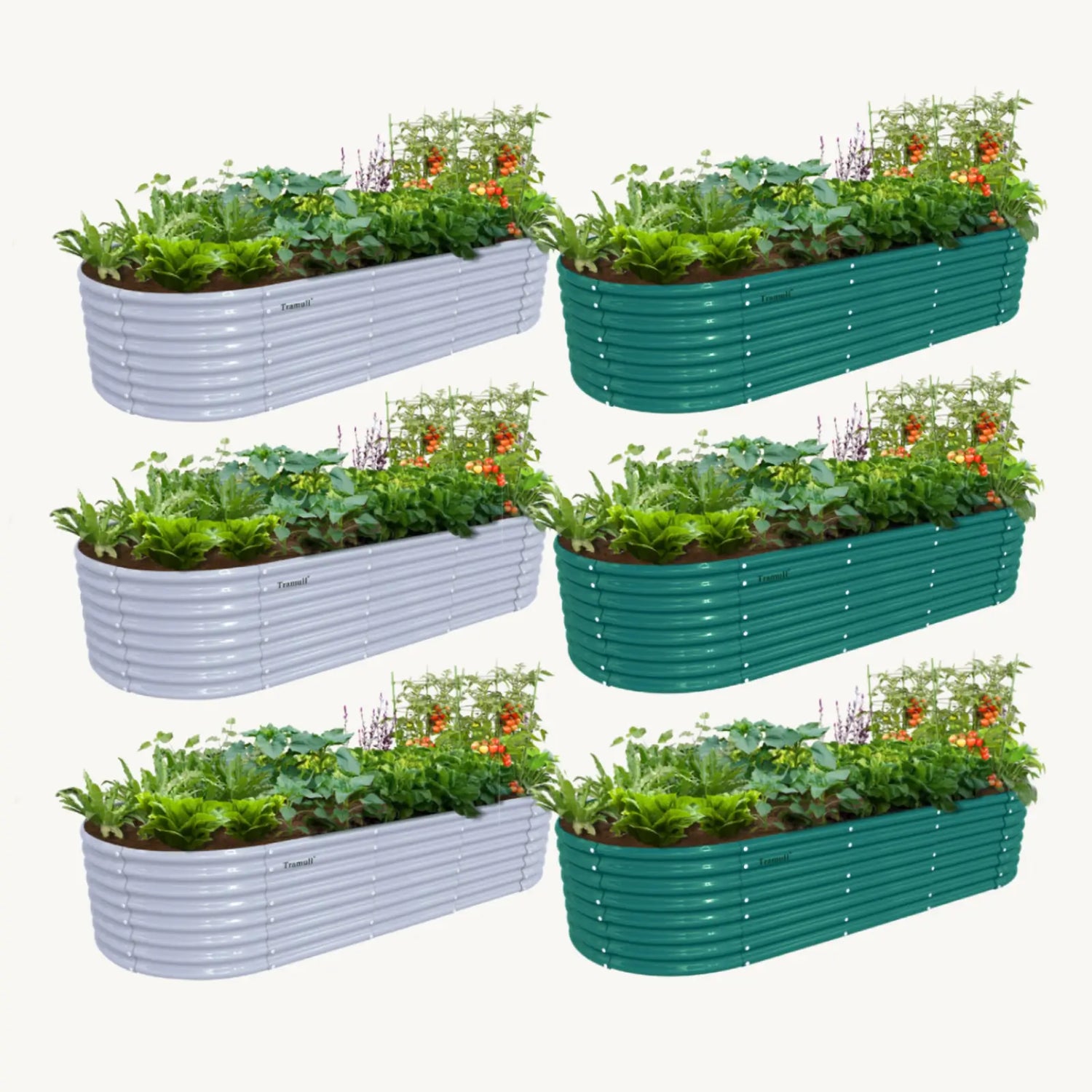 Bundle of 6 | 24" Tall 8x3ft Oval Metal Raised Garden Beds