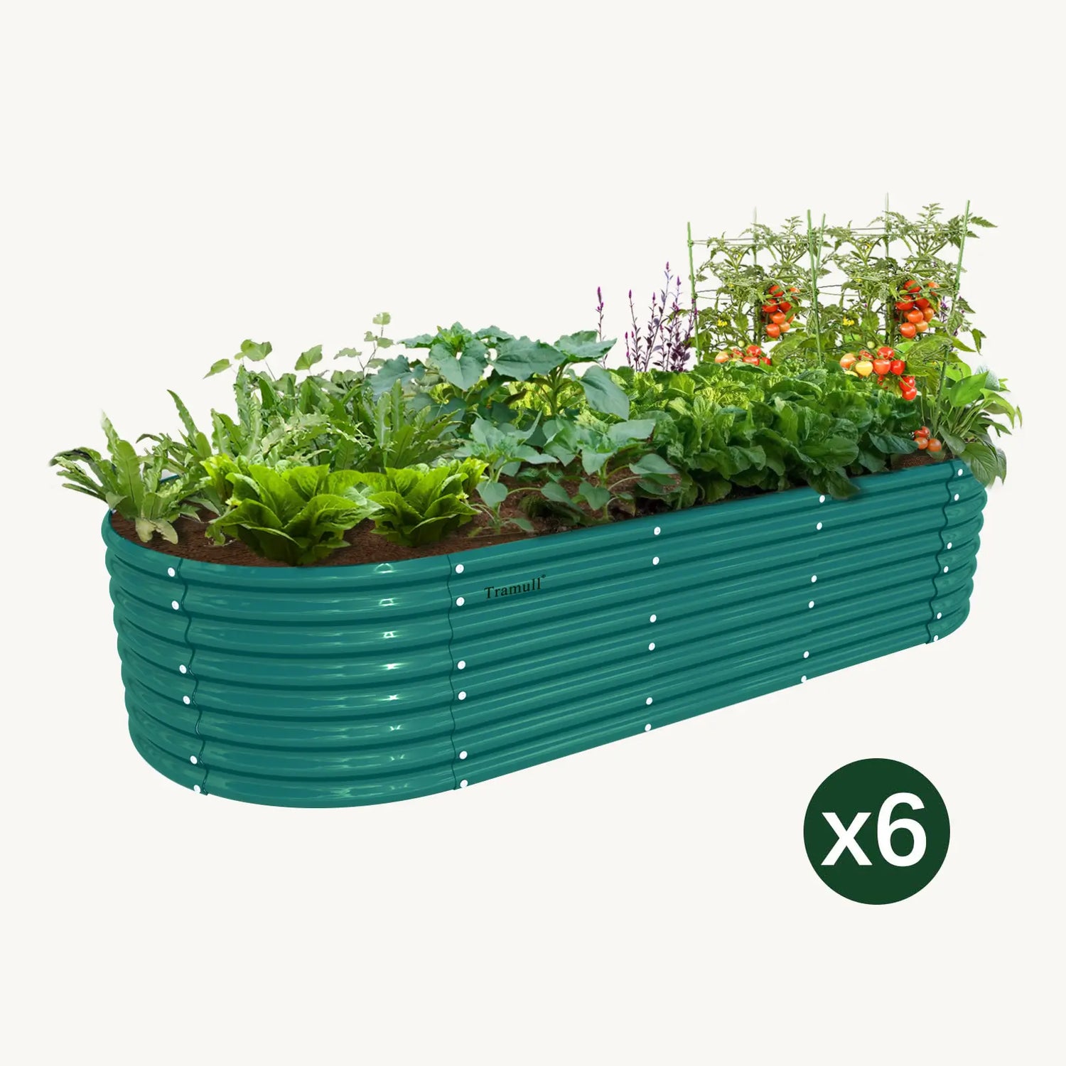 Bundle of 6 | 24" Tall 8x3ft Oval Metal Raised Garden Beds