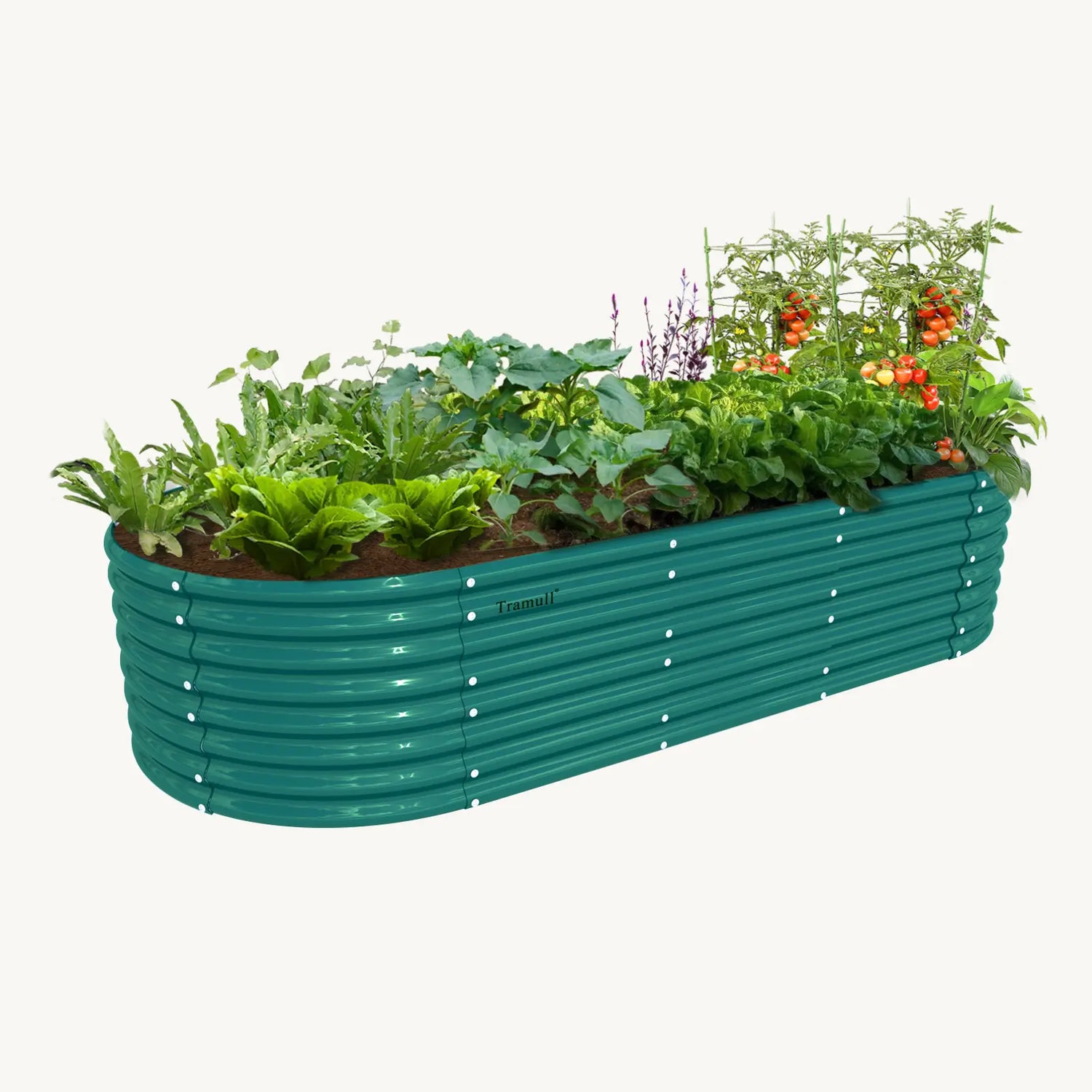 24" Tall 8x3ft Oval Metal Raised Garden Bed