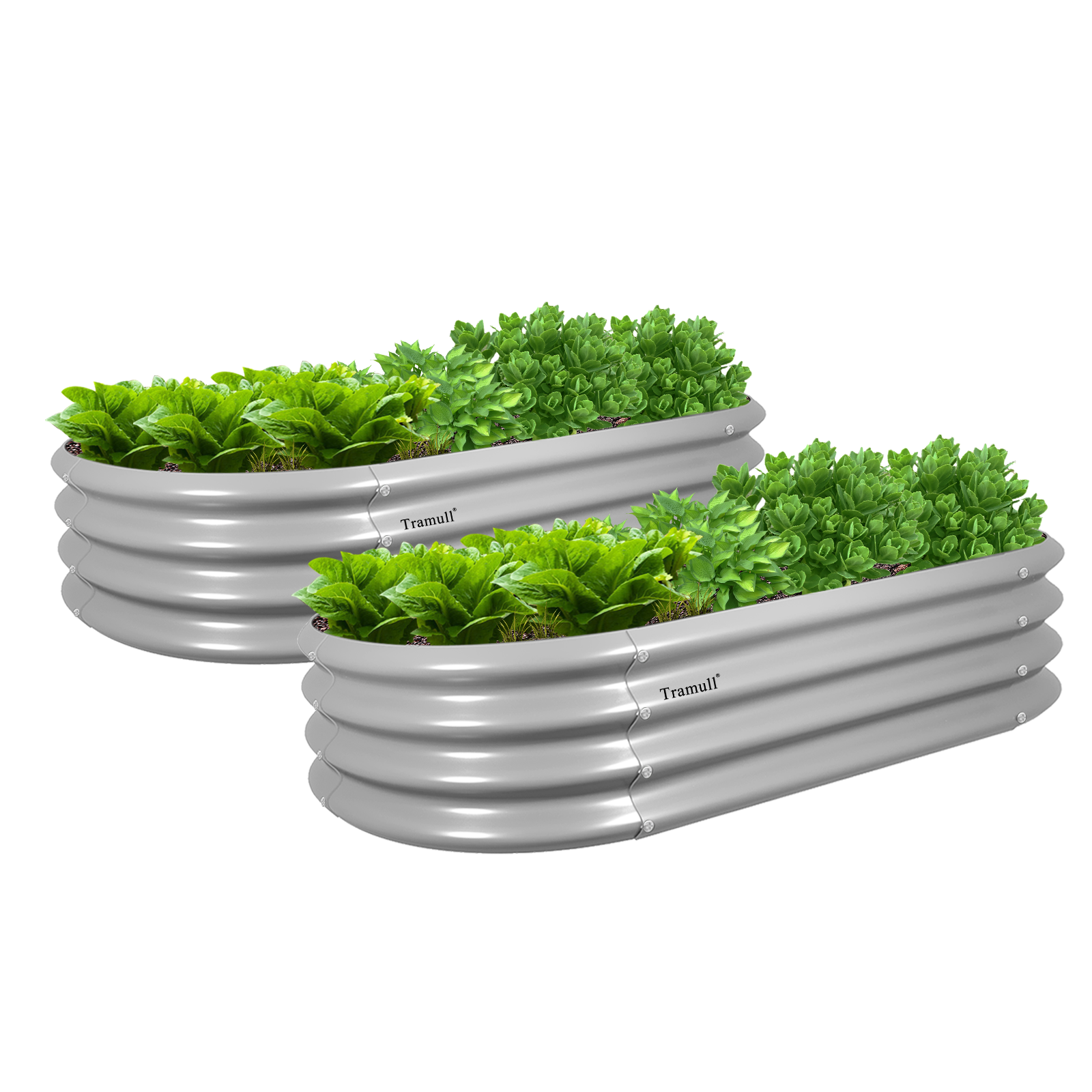 Set of 2 4x2x1ft Oval Galvanized Metal Raised Garden Beds (Light Grey Tramull Metal Raised